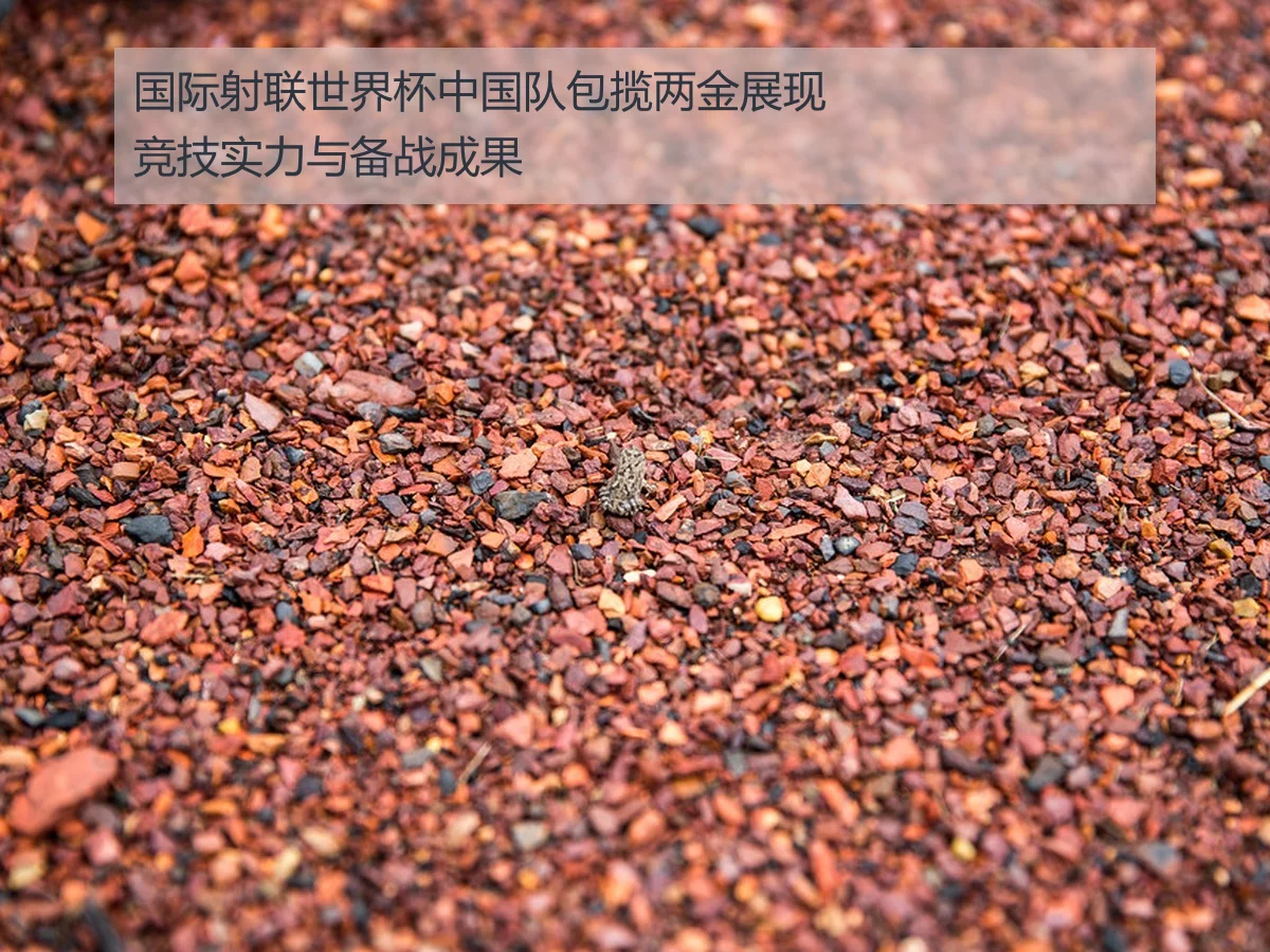 国际射联世界杯中国队包揽两金展现竞技实力与备战成果